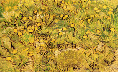 Vincent van Gogh A Field of Yellow Flowers