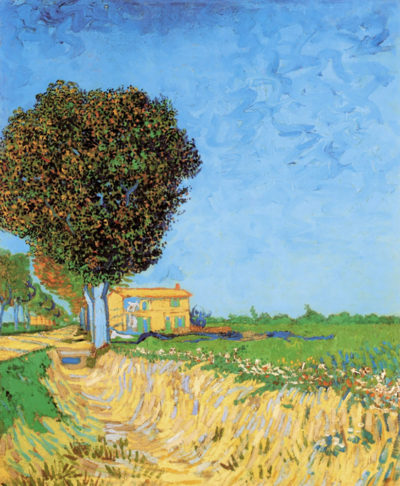 Vincent van Gogh A Lane near Arles