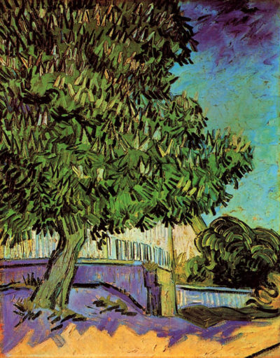Vincent van Gogh Chestnut Tree in Blossom