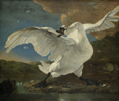 Jan Asselijn The Threatened Swan