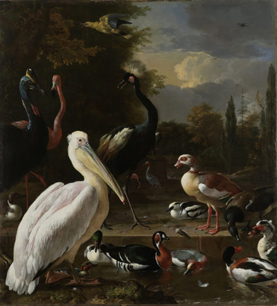 Melchior d' Hondecoeter A Pelican and other Birds near a Pool