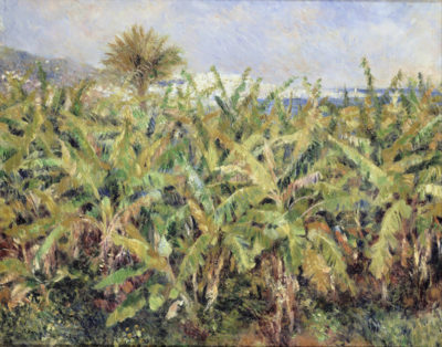 Pierre-Auguste Renoir Field of Banana Trees