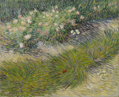 Vincent van Gogh Grass and butterflies