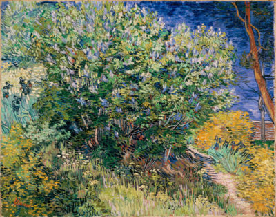 Vincent van Gogh Lilac bush