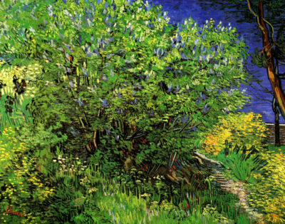 Vincent van Gogh Lilacs