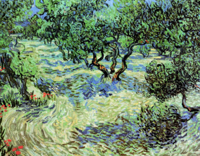 Vincent van Gogh Olive Grove