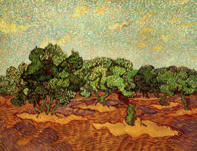 Vincent van Gogh Olive Grove Pale Blue Sky