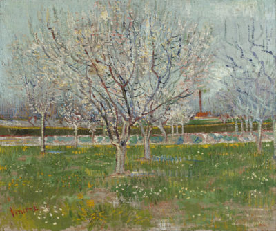 Vincent van Gogh Orchard in Blossom (Plum Trees)