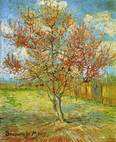 Vincent van Gogh Pink Peach Tree in Blossom Reminiscence of Mauve