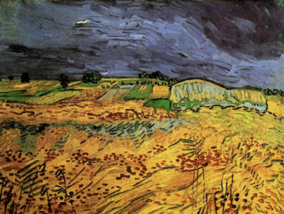 Vincent van Gogh The Fields