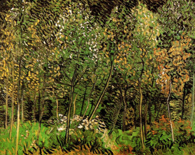 Vincent van Gogh The Grove