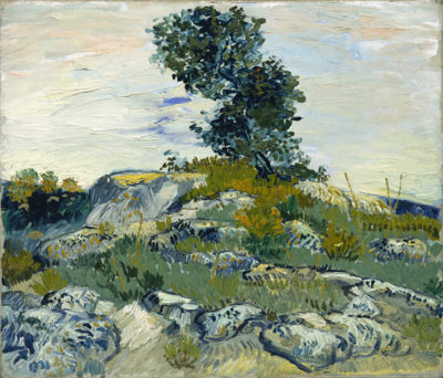 Vincent van Gogh The Rocks