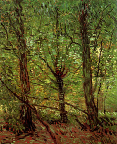 Vincent van Gogh Trees and Undergrowth