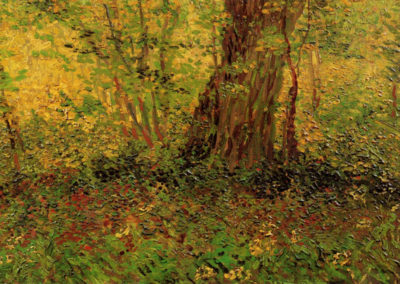 Vincent van Gogh Undergrowth