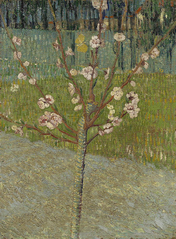 Vincent van Gogh Almond Tree in Blossom