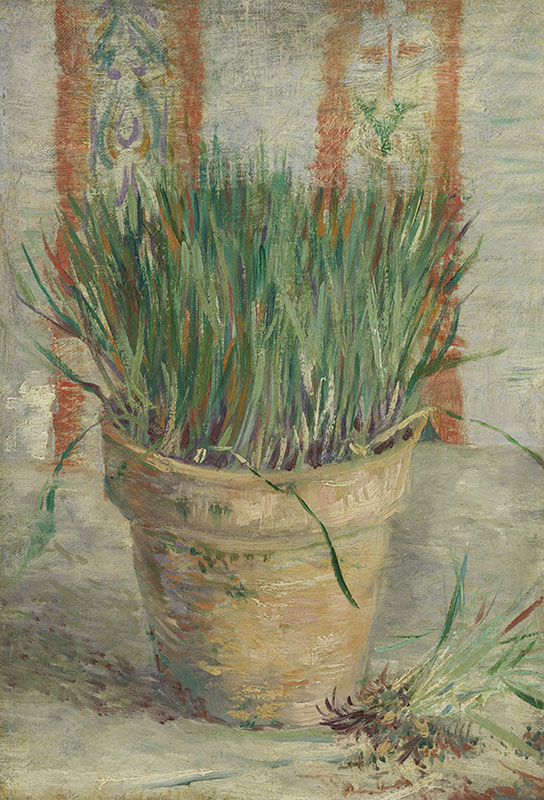 Vincent van Gogh Flowerpot with Garlic Chives