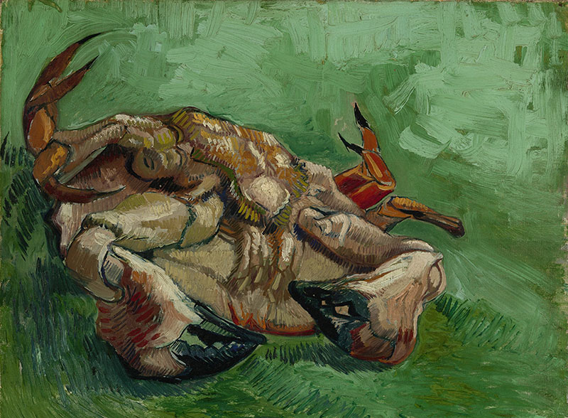 Vincent van Gogh A Crab on its Back
