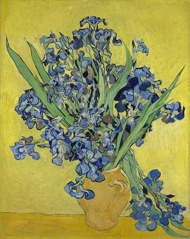 Vincent van Gogh Irises