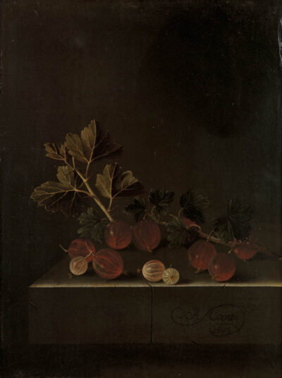 Adriaen Coorte A Sprig of Gooseberries on a Stone Plinth
