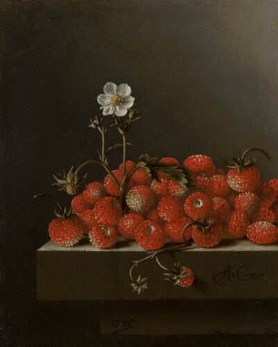 Adriaen Coorte Still Life with Wild Strawberries