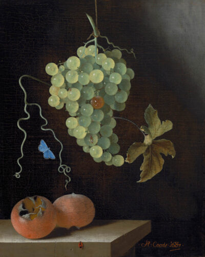 Adriaen Coorte Still Life with a Hanging Bunch of Grapes